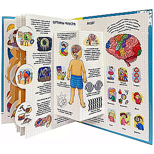 Secrets of a Human