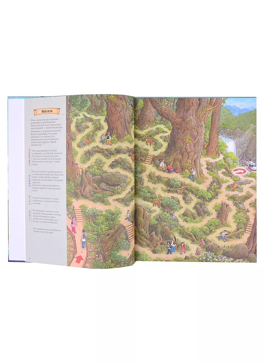 On Earth and in the Ocean. Mazes