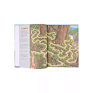On Earth and in the Ocean. Mazes