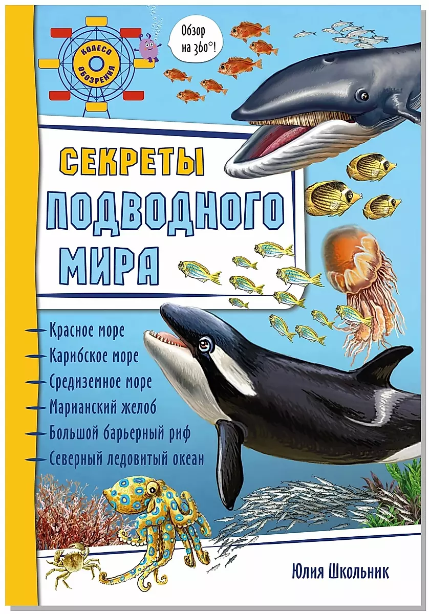 Secrets of the Underwater World