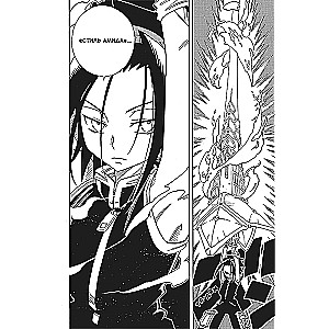 King of Shamans. Volume 8
