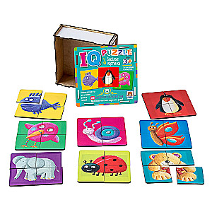 IQ Wooden Puzzle Funny Pictures