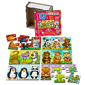 IQ Wooden Puzzle True Friends
