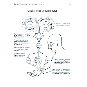 Pulse Diagnosis