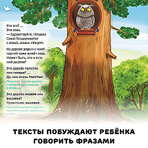 Find and say Little Lion