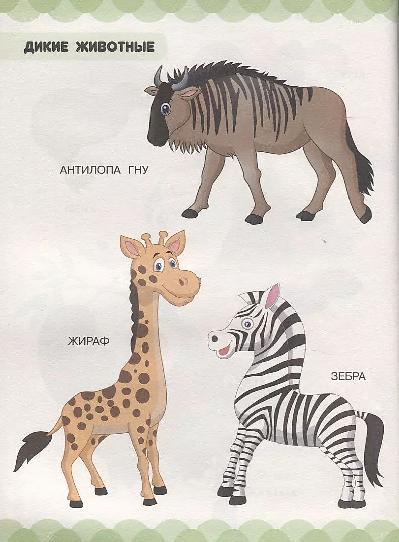 Skarbonka najwcześniejszych wiedzy malucha