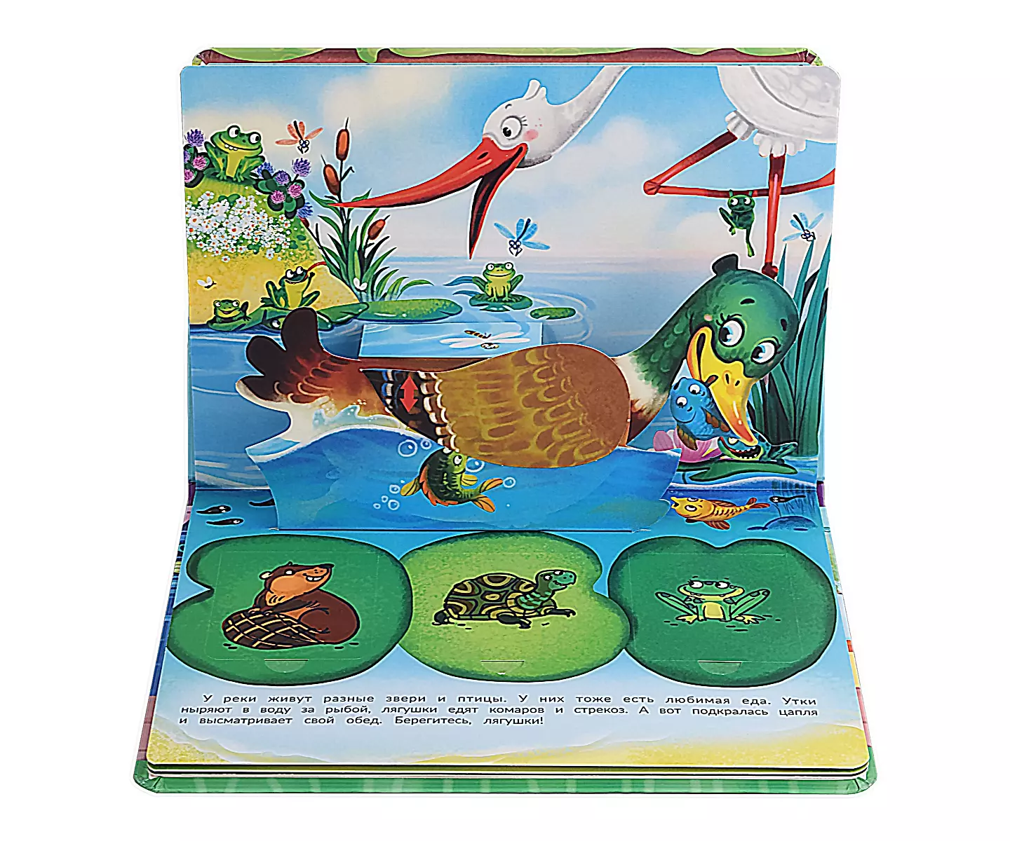 Pop-up book with windows What’s for lunch today?