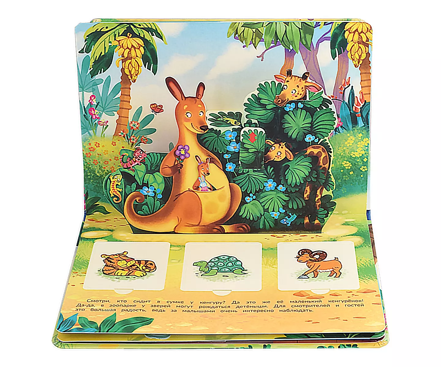 Pop-up Book with Windows At the Zoo