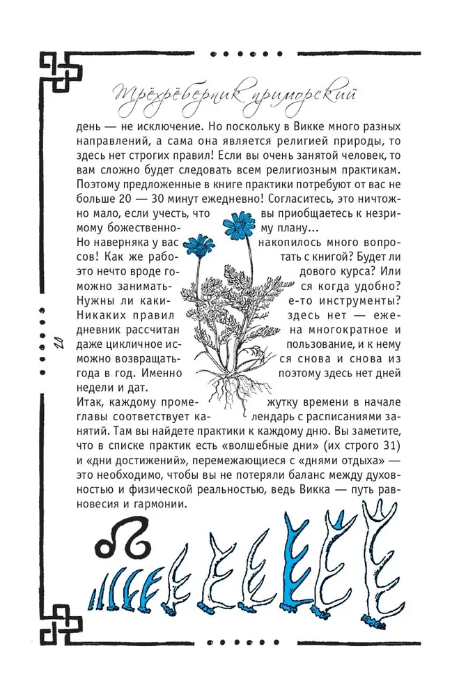 Wicca. Book of Shadows
