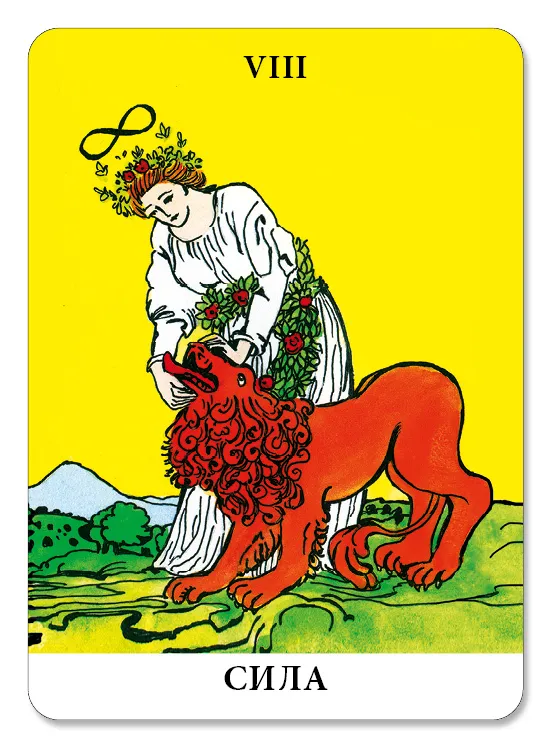 Tarot Without Borders Mini