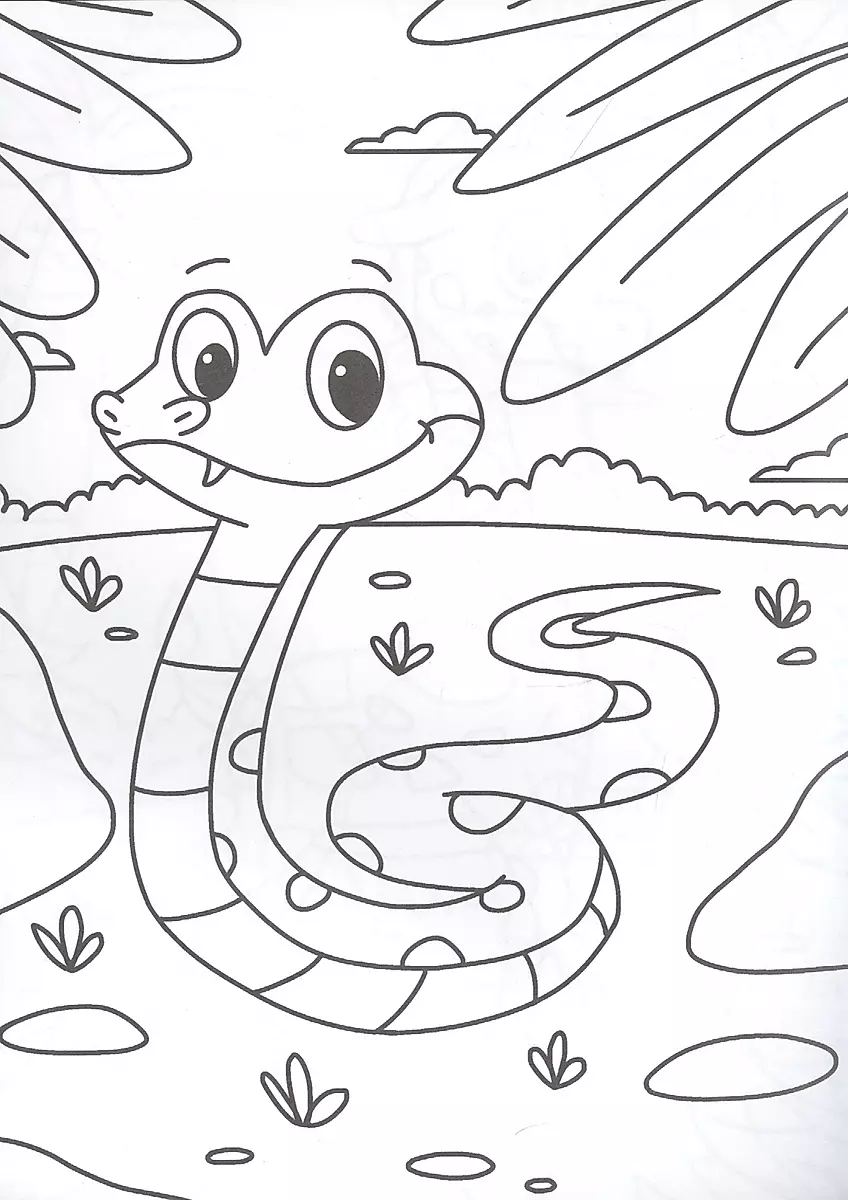 Animals. Coloring Book