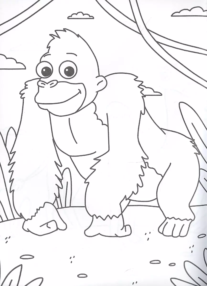 Animals. Coloring Book