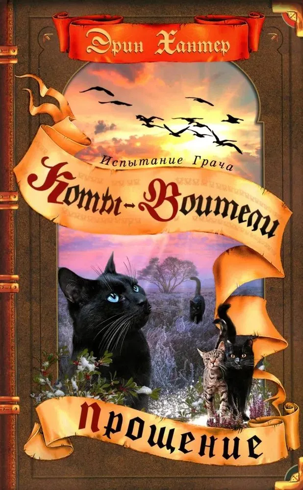 Koty wojownicy. Próba Kruka. Przebaczenie