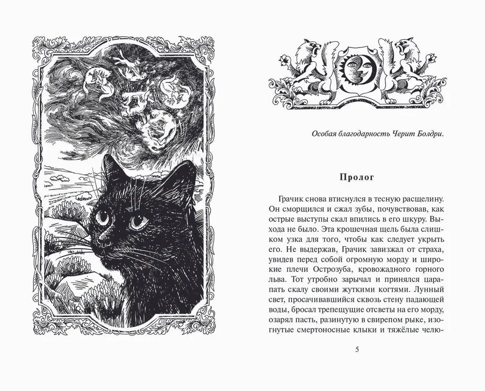 Trial of the Raven. Book 1. Shadows of the Past
