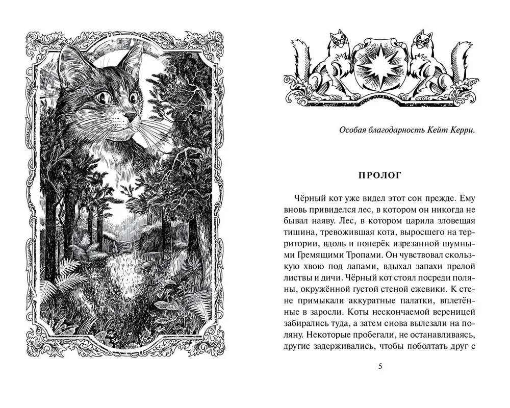 The Shadow of Kogtigriv. Visions