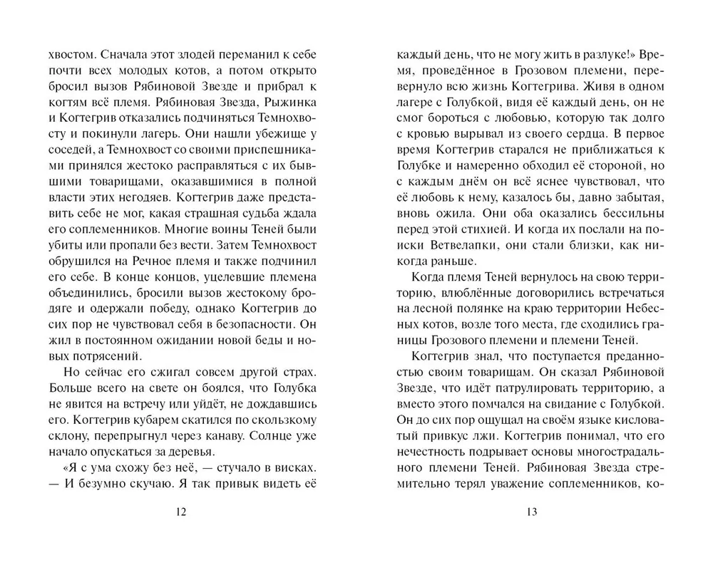 The Shadow of Kogtigriv. Visions