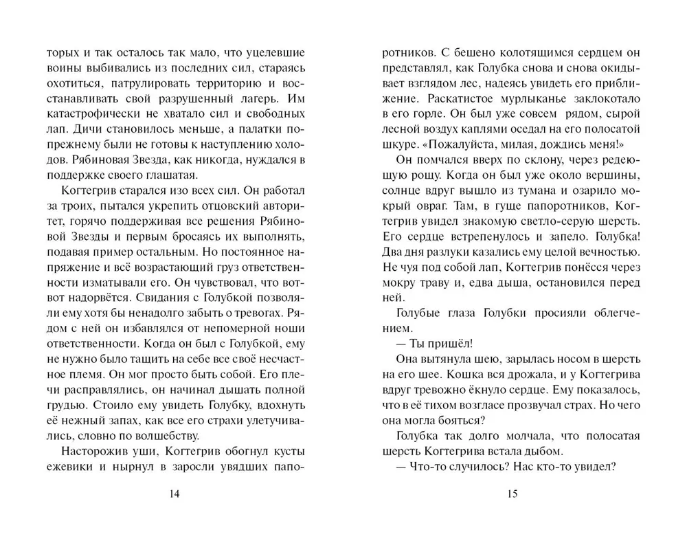 The Shadow of Kogtigriv. Visions