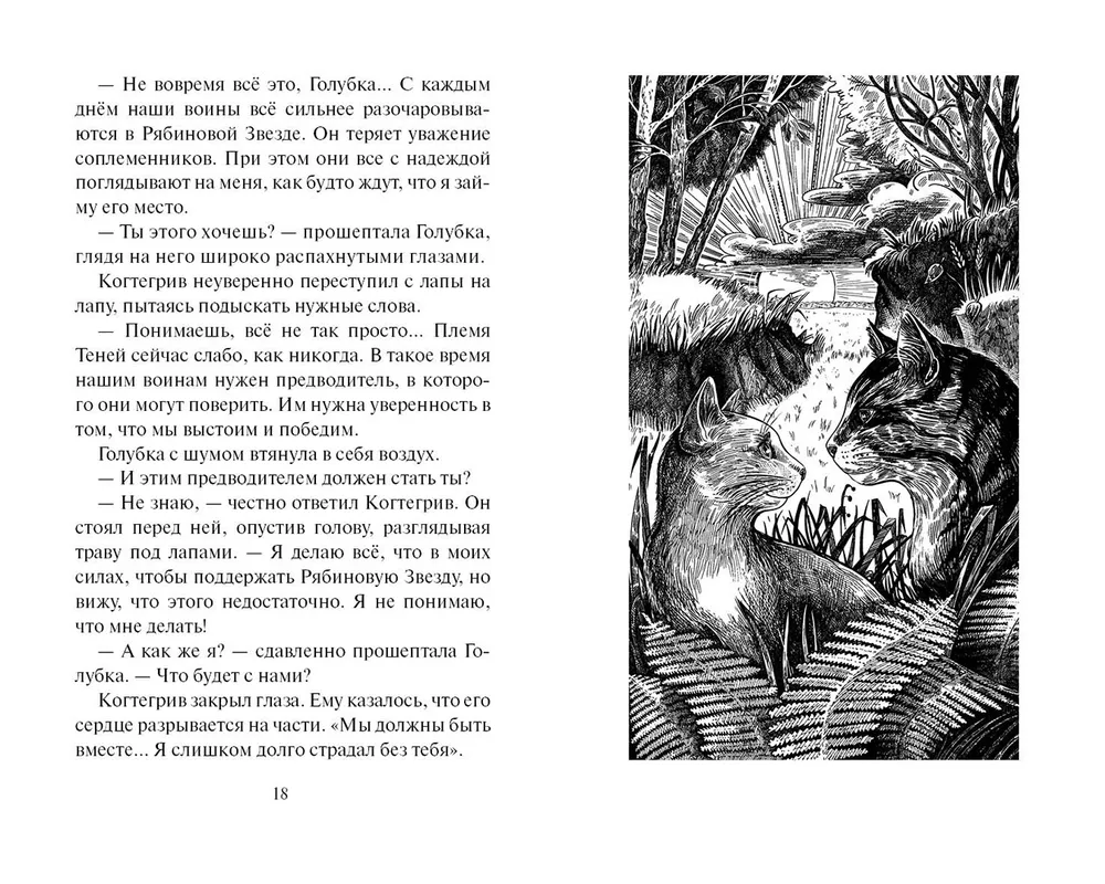 The Shadow of Kogtigriv. Visions