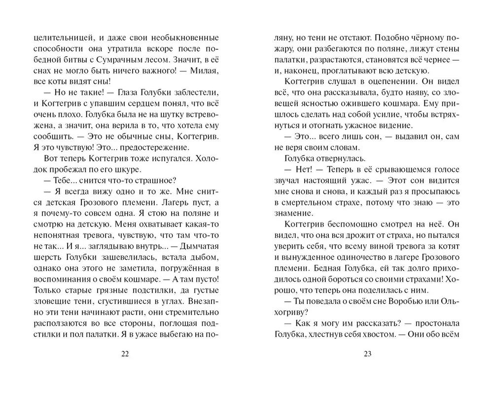 The Shadow of Kogtigriv. Visions