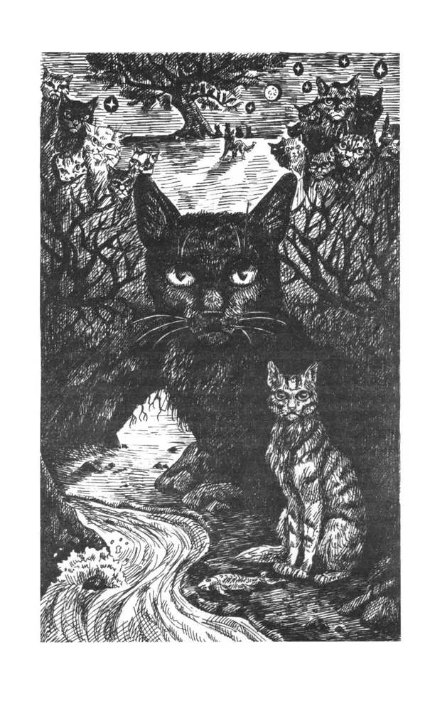The Story of Hollyleaf