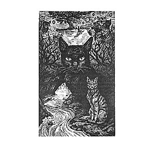 The Story of Hollyleaf