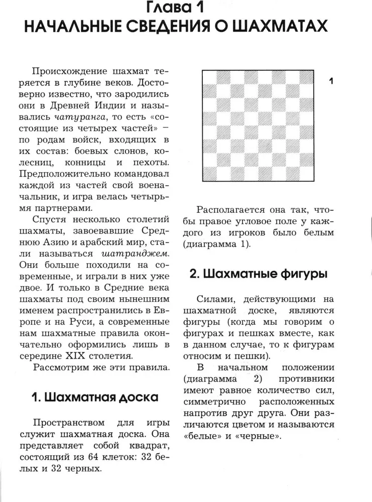 Chess for Beginners. Rules, Skills, Tactics