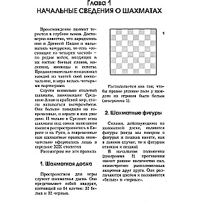 Chess for Beginners. Rules, Skills, Tactics