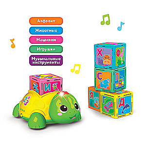 Alphabet with the Green Turtle