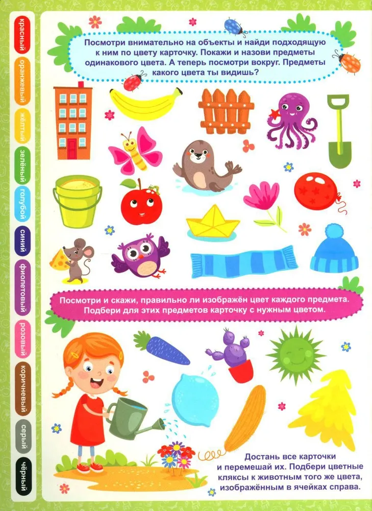 Colors and Shapes