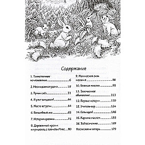 Book Forest