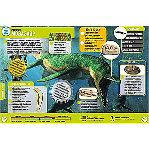 Dinosaurs. 250 Incredible Facts