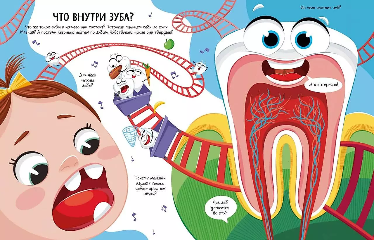 All About Teeth. Open and Learn!