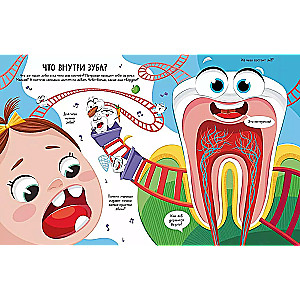 All About Teeth. Open and Learn!