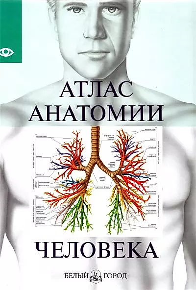 Atlas anatomii człowieka