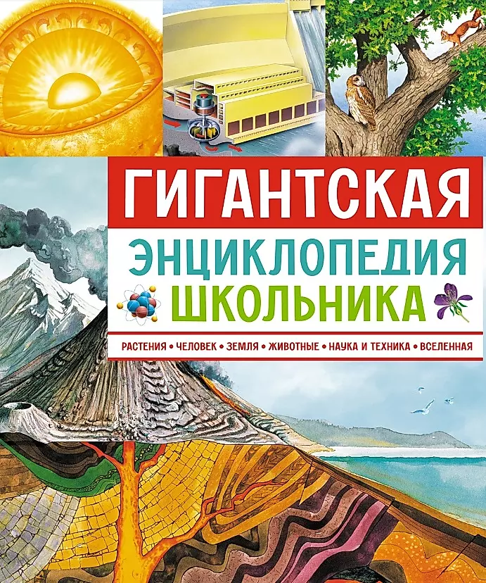 Giant Encyclopedia of a School Student
