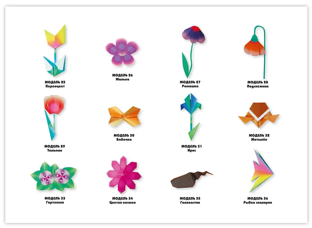 Origami for Beginners (with a set of colored paper). 30 models