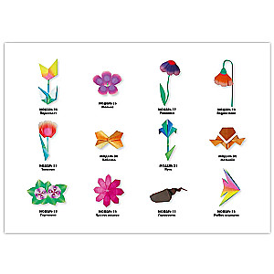 Origami for Beginners (with a set of colored paper). 30 models
