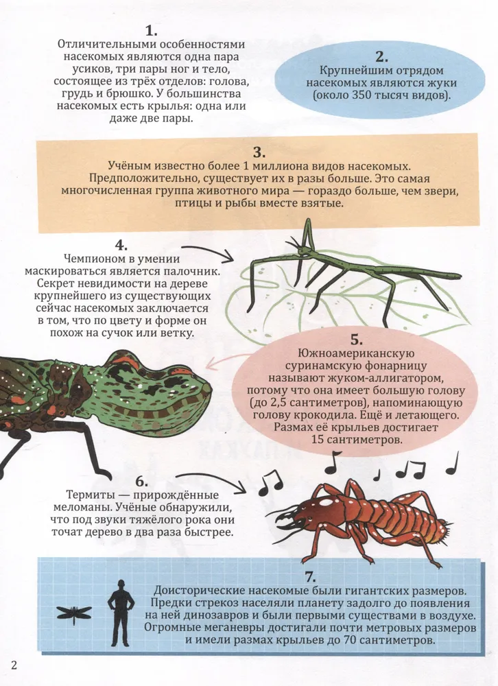 365 Facts About Insects and Spiders