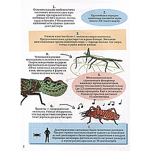 365 Facts About Insects and Spiders