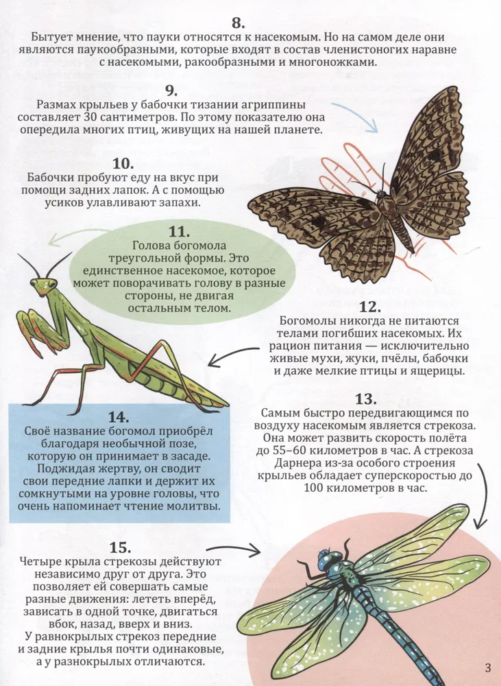 365 Facts About Insects and Spiders