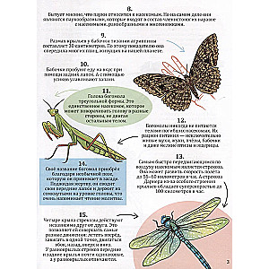365 Facts About Insects and Spiders