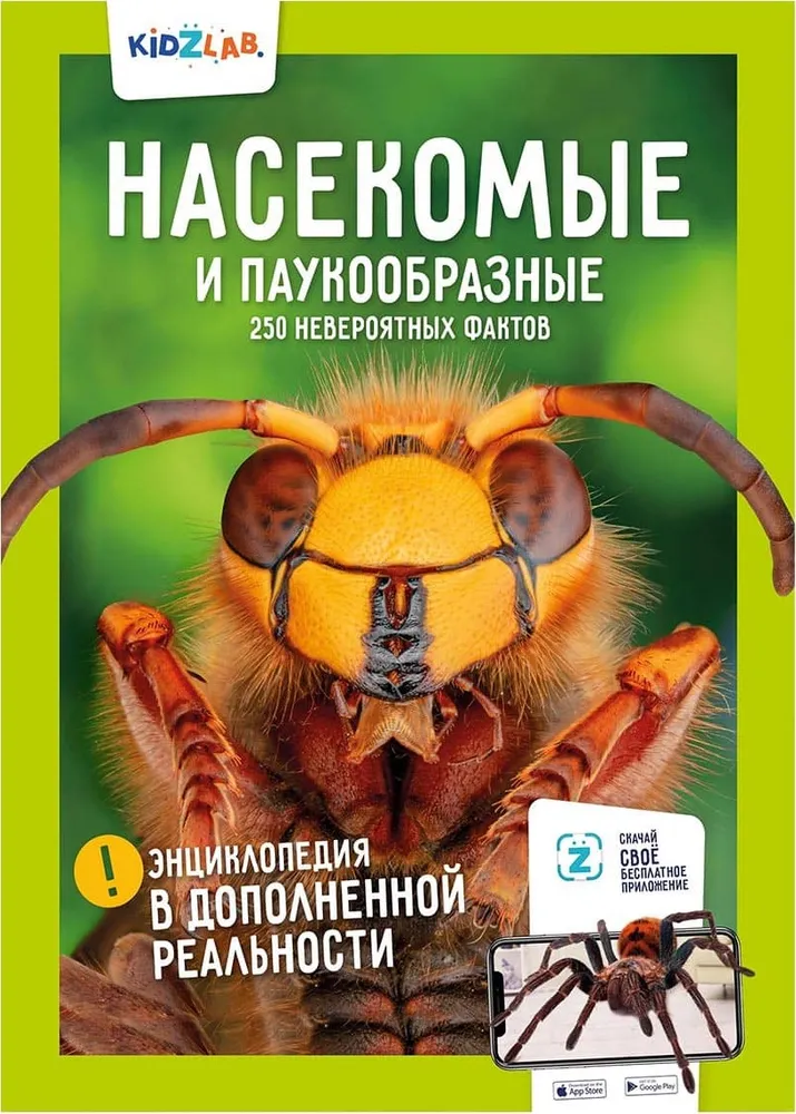 Insects and Arachnids. 250 Incredible Facts