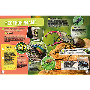 Insects and Arachnids. 250 Incredible Facts