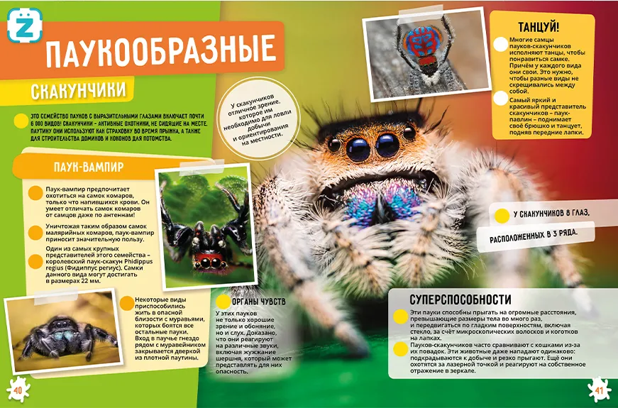 Insects and Arachnids. 250 Incredible Facts