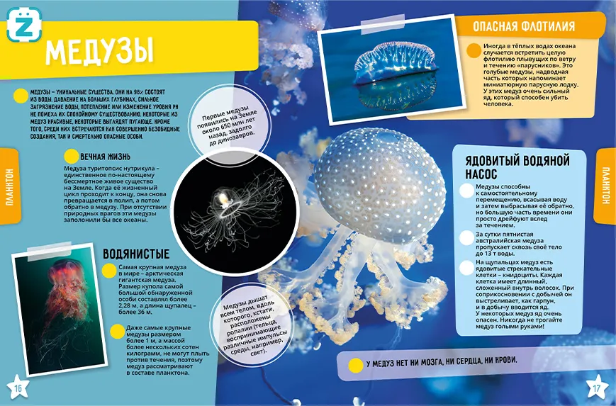 Ocean. 250 Incredible Facts
