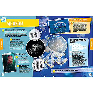 Ocean. 250 Incredible Facts