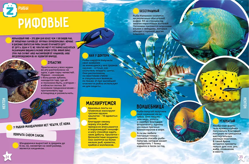 Ocean. 250 Incredible Facts