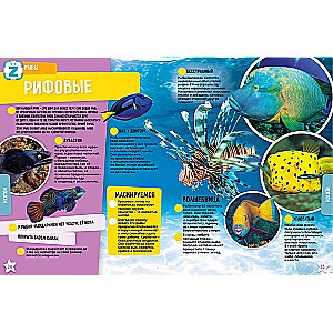 Ocean. 250 Incredible Facts