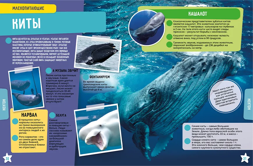 Ocean. 250 Incredible Facts