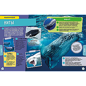 Ocean. 250 Incredible Facts